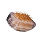 微针主图-拷贝5